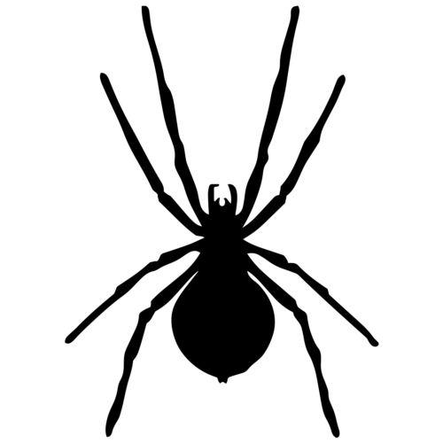 ARAÑA EN BOLSA HALLOWEEN