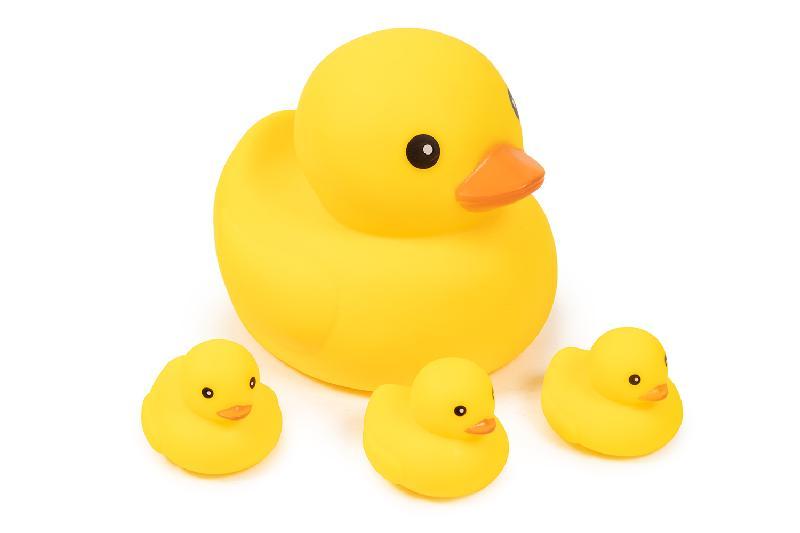 PATO GIGANTE CON 3 PATITOS EN RED